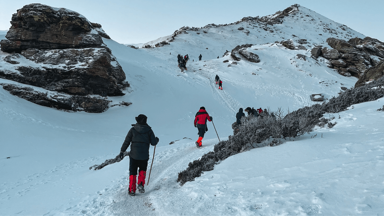Kedarkantha Trek