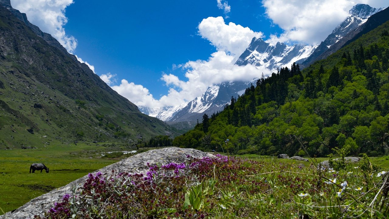Har Ki Doon Trek